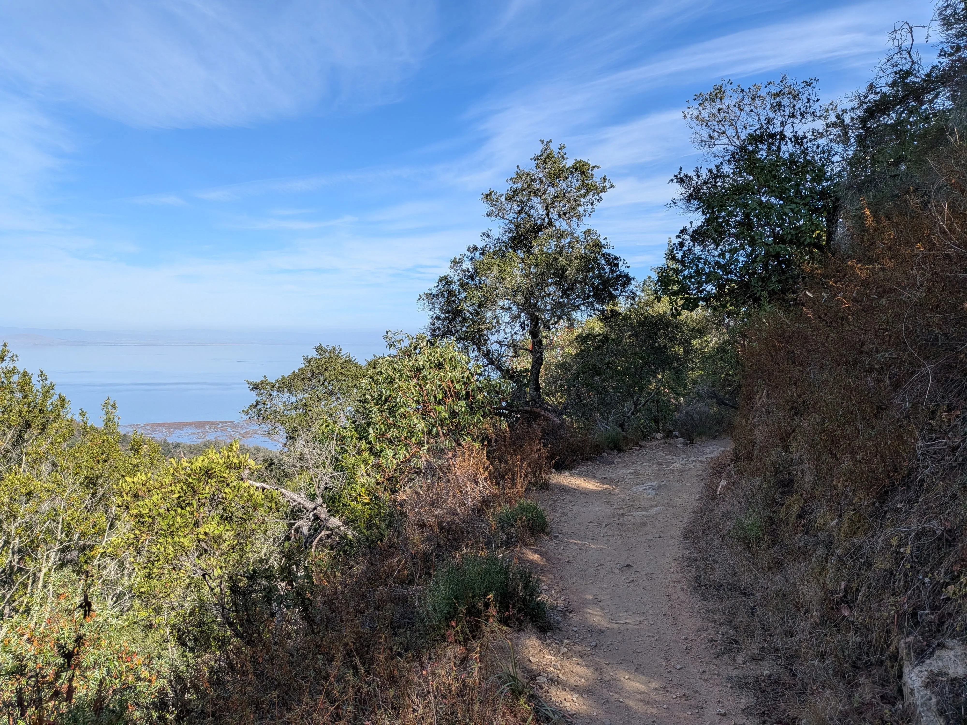 The trail opening up to a view of San Pablo Bay