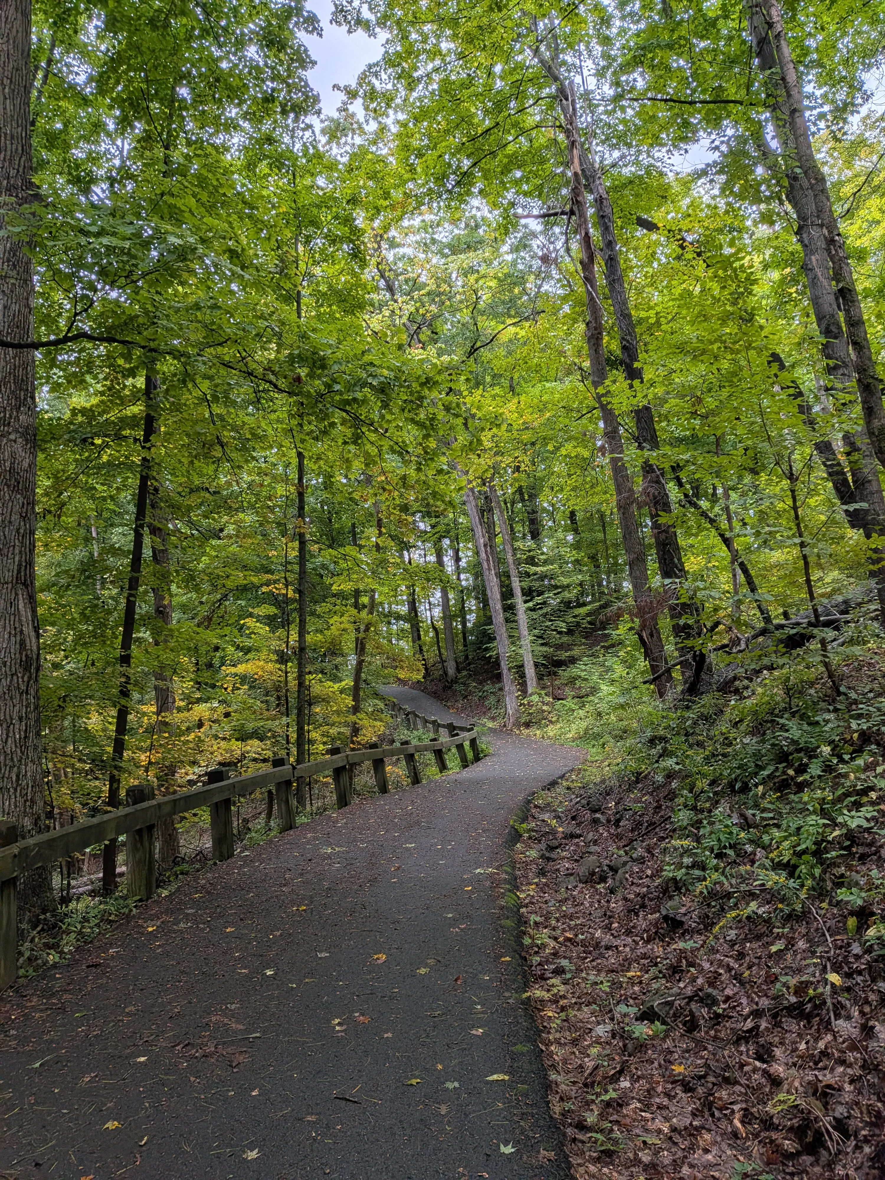 Bike trail along the Mohawk River